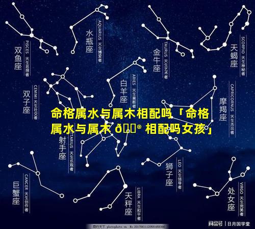 命格属水与属木相配吗「命格属水与属木 💮 相配吗女孩」